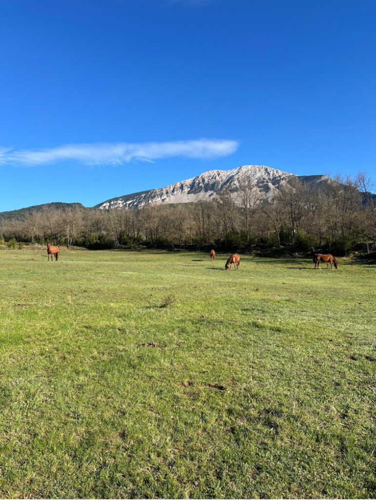 casa rural villacampa nocito