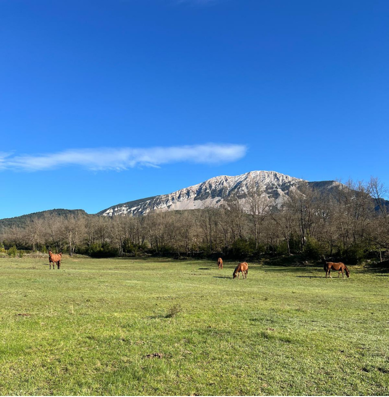 casa rural villacampa nocito