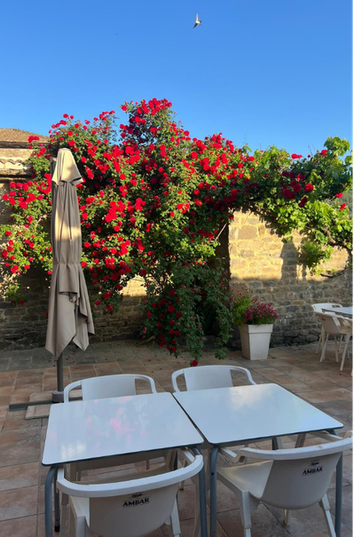 casa rural en aragon
